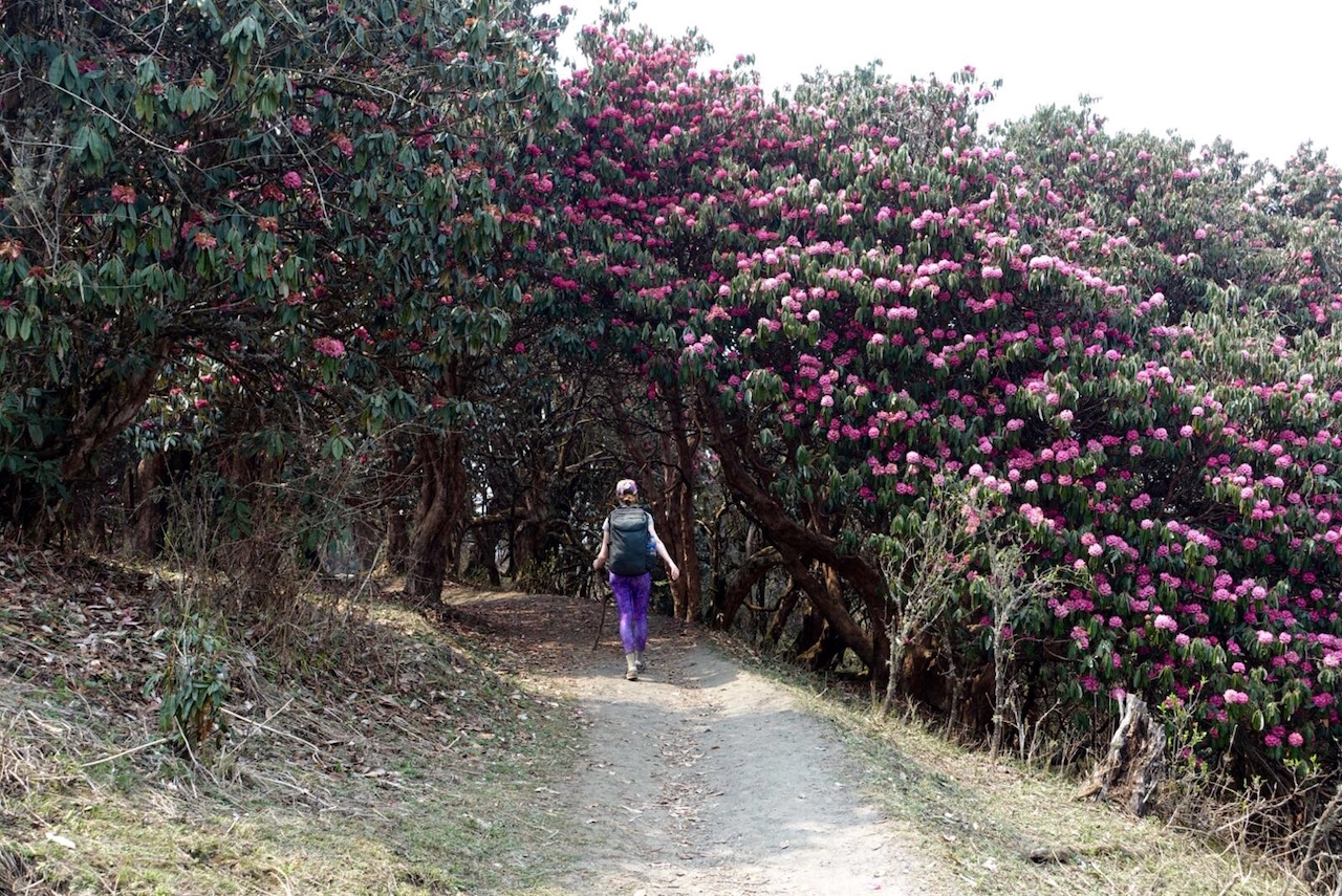 Jeanette Mellinger hiking in Annapurna with her Minaal Carry-on