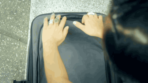 Minaal Carry-on – Roll cover, stash straps.